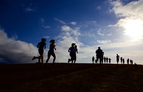 2016-2017-seal-point-running-drills-2089896