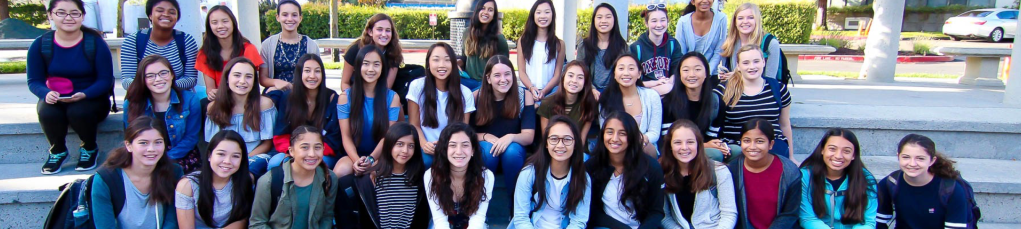 Transition to Crystal: Old Student v.&nbsp;New