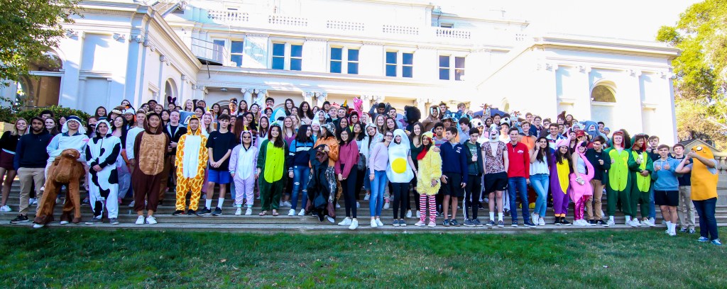 “That’s So Crystal”